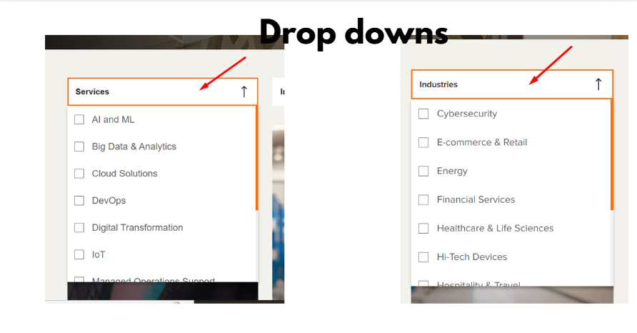 B2B Dropdown